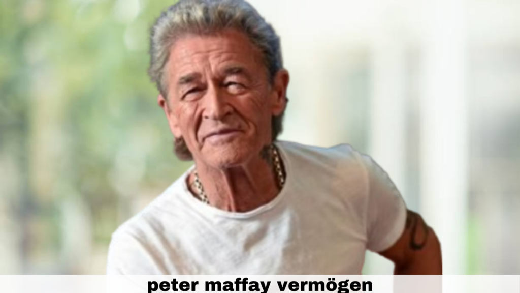 peter maffay vermögen