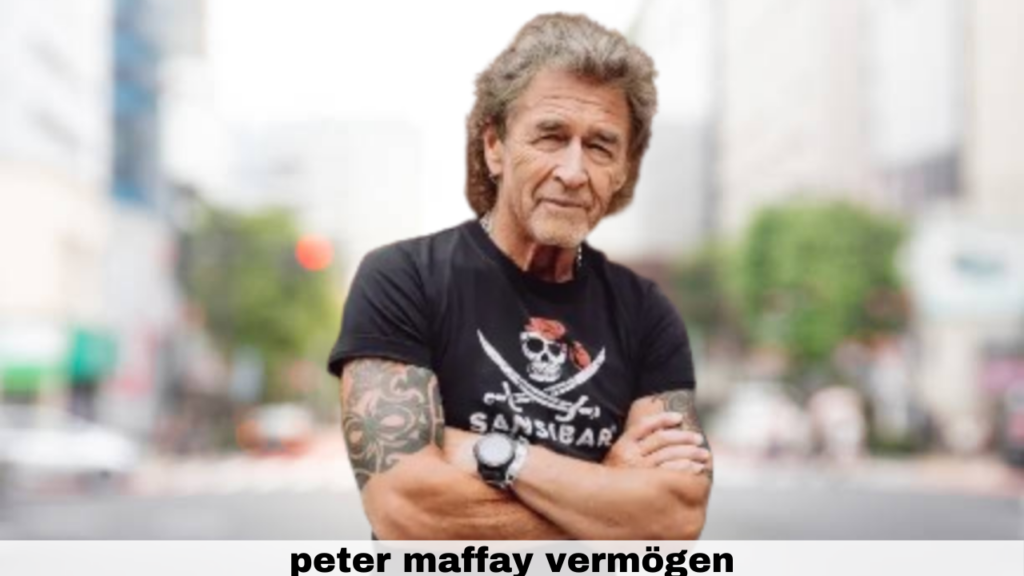 peter maffay vermögen